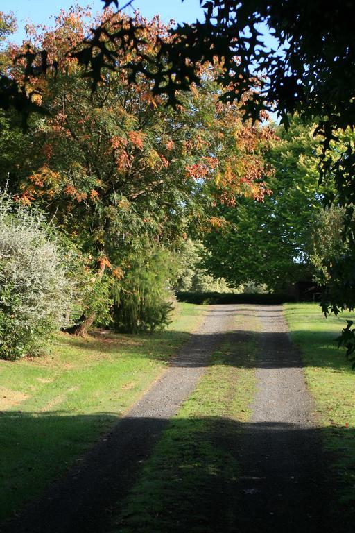 Strathmore Farm B&B Mirboo North Εξωτερικό φωτογραφία